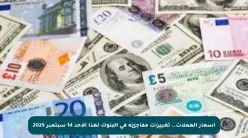 أسعار العملات.. تغييرات مفاجئة في البنوك لهذا الأحد 14 سبتمبر 2025